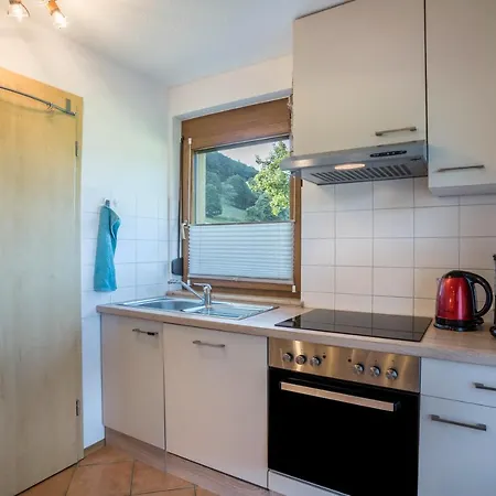 Ohnemus Apartamento Schuttertal