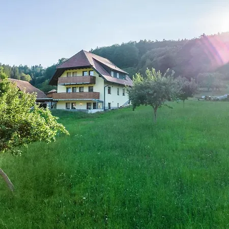 Ohnemus Apartment