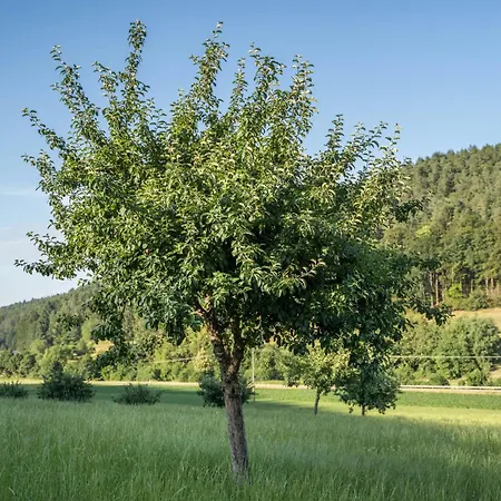 Ohnemus Апартаменты *