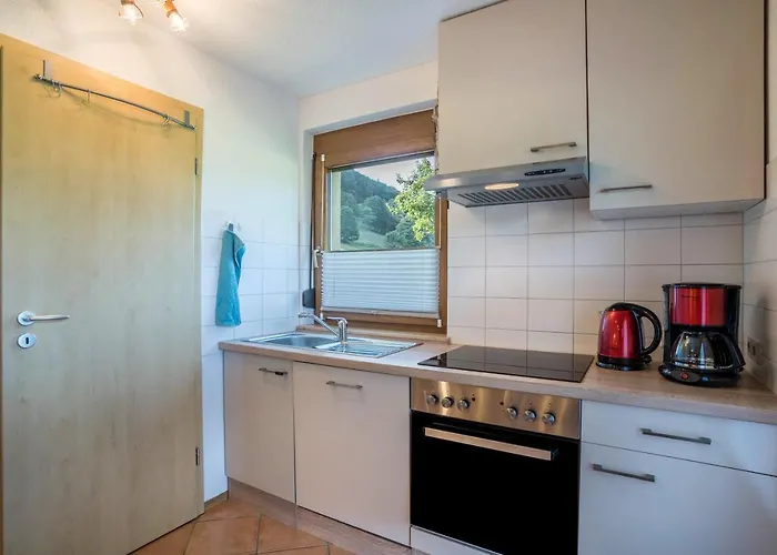 Ohnemus Appartamento Schuttertal