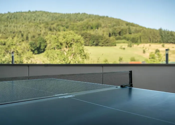 Ohnemus Апартаменты Schuttertal