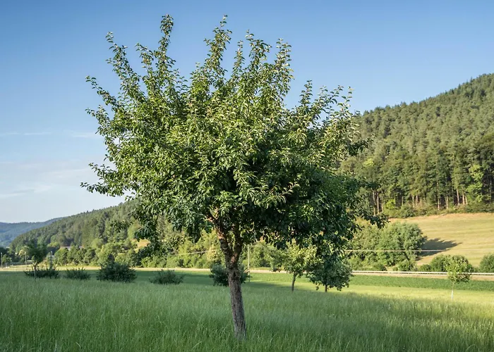 Ohnemus Appartamento *